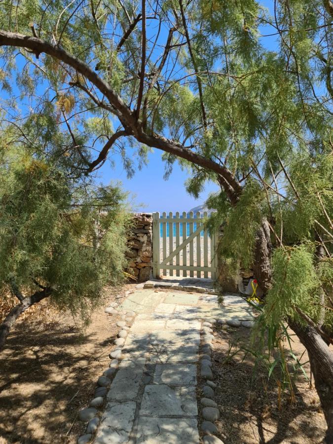 Nature Eco Living Serifos Livadi  Exterior foto